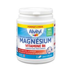 Alvityl Magnesium Vitamine B6 Cpr120