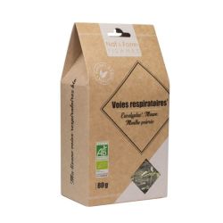 NAT&FORM TISANE VOIE RESPIRATOIRE BIO 80G