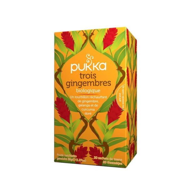 Pk Infusion Trois Gingembre Bio 20